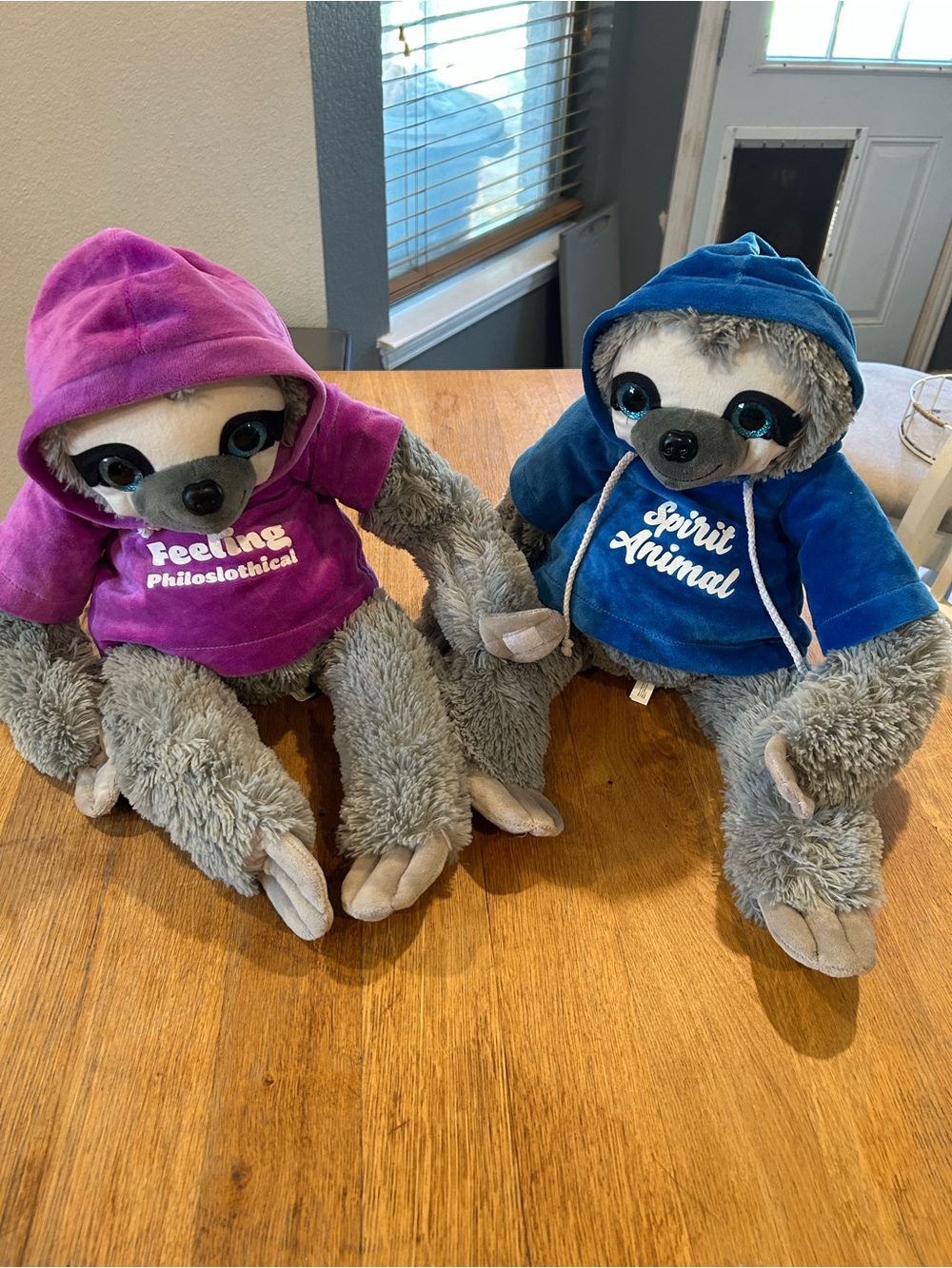 Pair of Plush Sloth Toy in Purple and blue Hoodie - Cozy Cuddly Companion